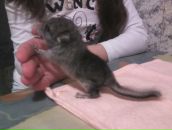 Фотография Куликов Константин