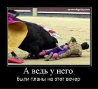 Миша Мифка фотография #1