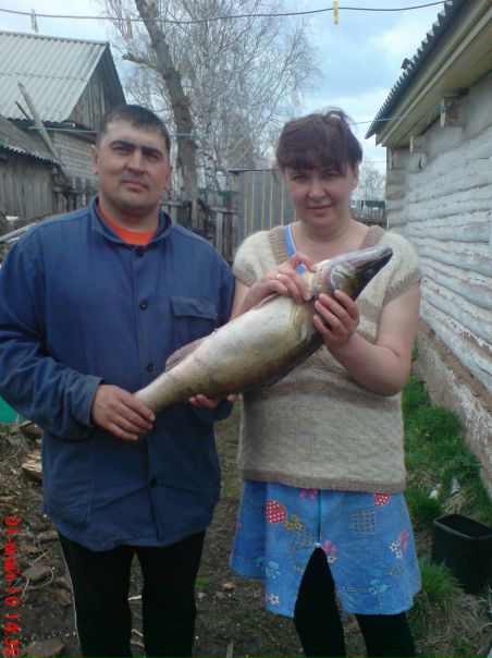 №8, Васима Гильфанова №8, Васима Гильфанова