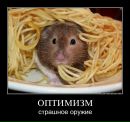 Фотография Zolotaya Anechka