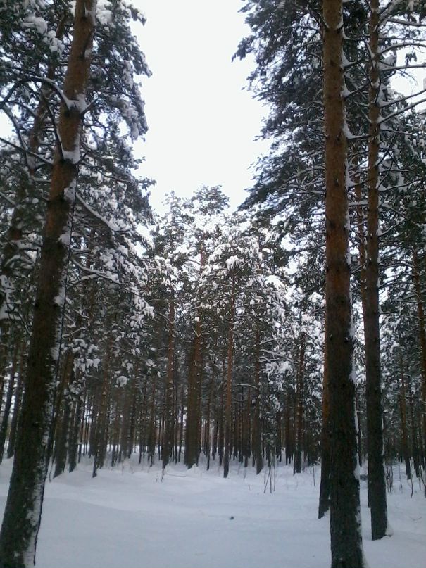 Дмитрий Шаров фотография #13