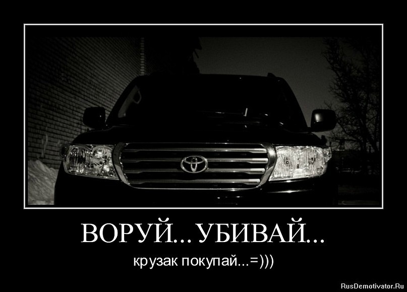 Дима Сапегин фотография #20