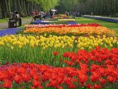 Світлана Лазоришин фотография #8 (источник - https://vk.com/id21651062)