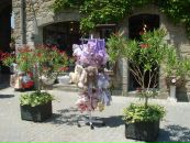 Фотография Оськиной Юлии