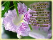 Фотография Павличенко Павел