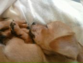 Фотография Грудевой Александры