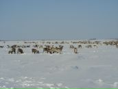 Фотография Сагияна Армена