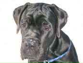 Фотография Кузнецовой Юлии