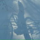 Фотография Хачатряна Геворка