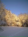 Фотография Хрипуновой Марины