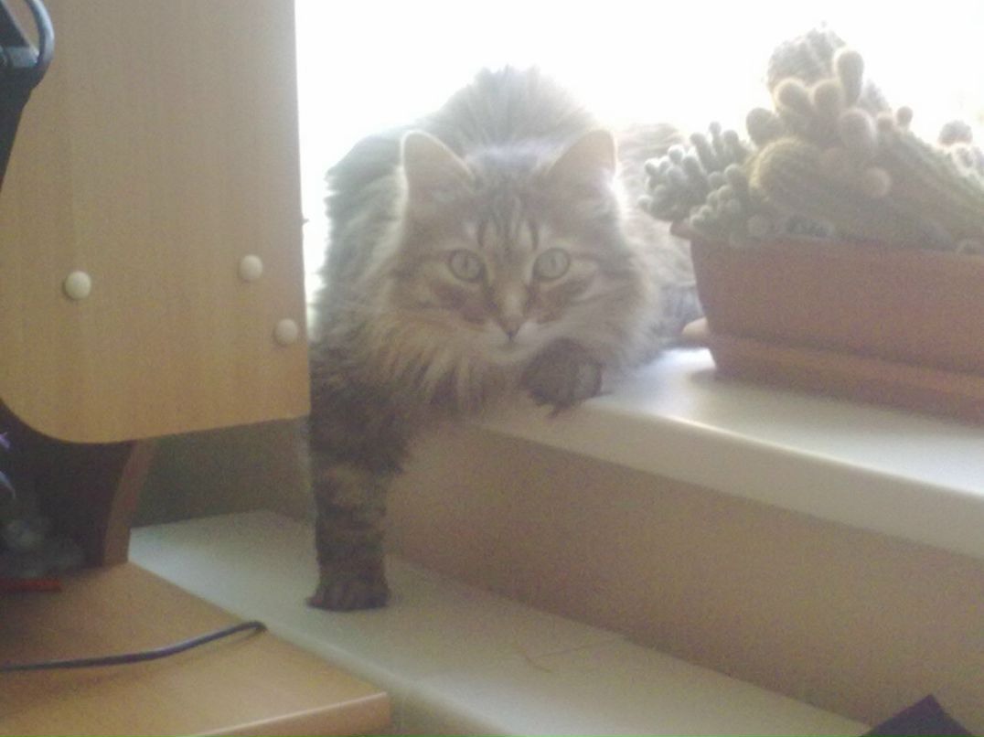 Андрюшка Орлов фотография #1