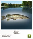 Славік Зайцев фотография #15 (источник - https://vk.com/id97164544)