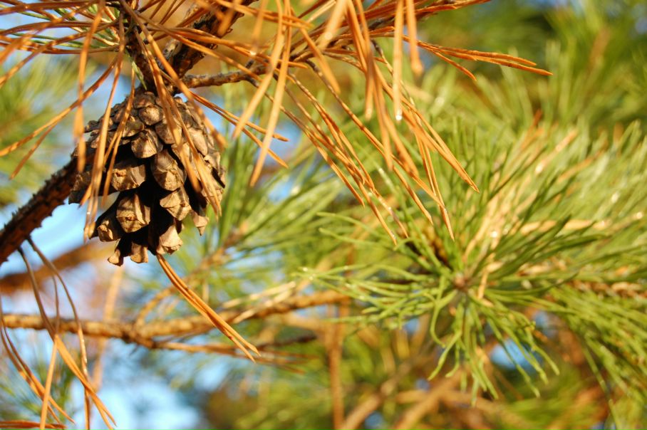 Михаил Яковлев фото №17