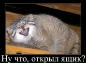 Фотография Кониной Юлии