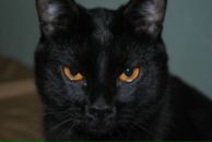 Фотография Рахматуллиной Вероники