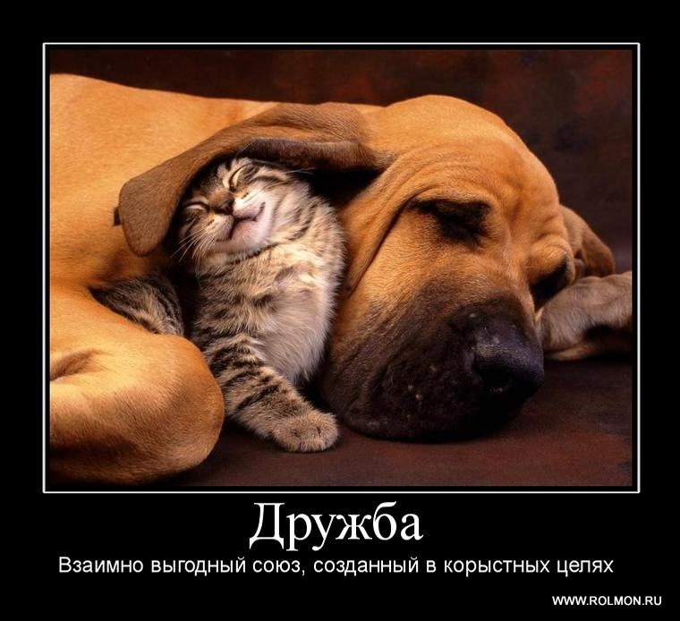 Эдуард Орлов фотография #31