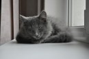 Андрій Казаков фотография #3 (источник - https://vk.com/id77798335)
