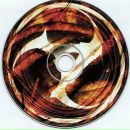 Міша Холод фотография #42 (источник - https://vk.com/id235016312)