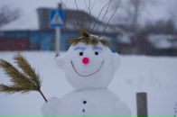 Фотография Фролова Лиля