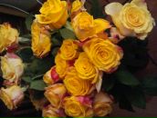 Фотография Мельниковой Ирины