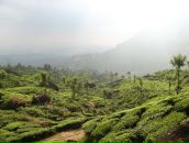 Дмитрий Матвеенко фотография #22 (источник - https://vk.com/id436376)