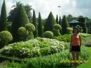 Фотография Пасеки Марины