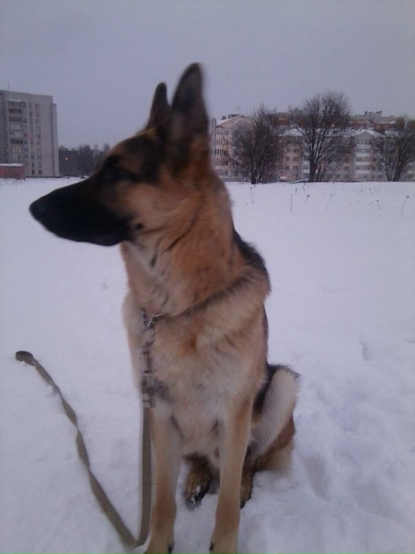 Андрей Кубышкин фотография #38