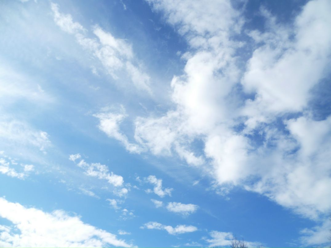 Dragon Fly фотография #45