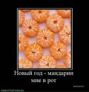 Фотография Кухоренко Александр