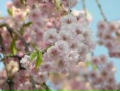 Фотография Новиковой Марии