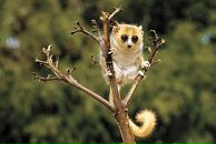 Андрій Горінець фотография #17 (источник - https://vk.com/id30203235)