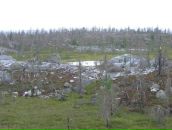 Иван Паньков фотография #34 (источник - https://vk.com/id746503)