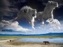 Фотография Муратова Мунивер