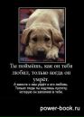 Фотография Марининой Марины
