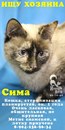 Фотография Климовой Леси