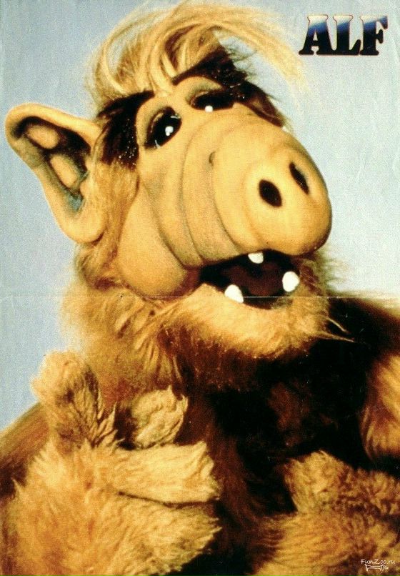 Дмитрий Сарычев фотография #3