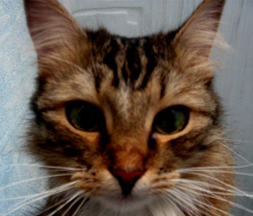 Катя Fr фотография #16