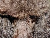 Фотография Таран Юлии