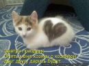 Андруся:)) Лозинська фотография #36 (источник - https://vk.com/id121655750)
