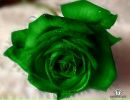 Вікуля Воробець фотография #23 (источник - https://vk.com/id159632753)