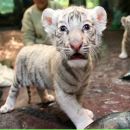 Фотография Данькова Петра