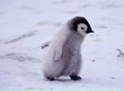 Оксана Квітка фотография #9 (источник - https://vk.com/id4181271)