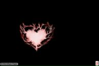 Андрій Проньо фотография #13 (источник - https://vk.com/id127453788)