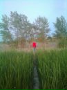 Фотография Силантьевой Светланы