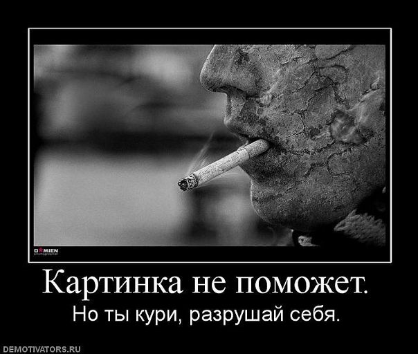 Александр Пенчук фото №30