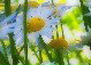 Веронічка Лущай фотография #10 (источник - https://vk.com/id162186249)