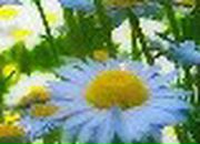 Веронічка Лущай фотография #12 (источник - https://vk.com/id162186249)