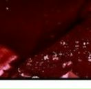 Голіната Світлана фотография #3 (источник - https://vk.com/id70881949)