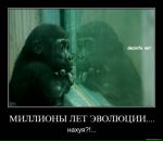 Фотография Palden Olga