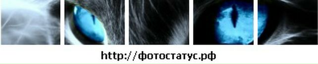 Марина Степченко фотография #33 (источник - https://vk.com/id4404327)